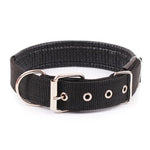 Pet Dogs Collars