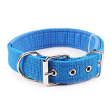 Pet Dogs Collars