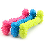 Puppy Molars Rubber Ball Play