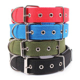 Pet Dogs Collars