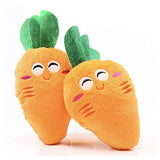 Soft Fleece Dog Chew Toy Fruit Vegetable Chicken Squeak