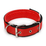 Pet Dogs Collars