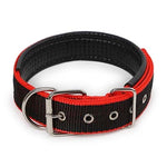 Pet Dogs Collars