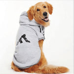 Hoodie Fashion Sport