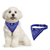 Bandana Collar Neckerchief