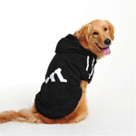 Hoodie Fashion Sport