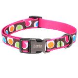 Nameplate ID Collars Adjustable