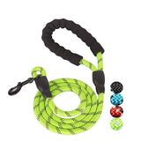 Pet Leashes Large Dog Harness