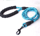 Pet Leashes Large Dog Harness